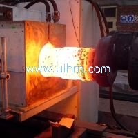 induction forging steel rod (steel bar)