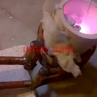 induction melting steel rods with flexible induction coil by um-15a-hf